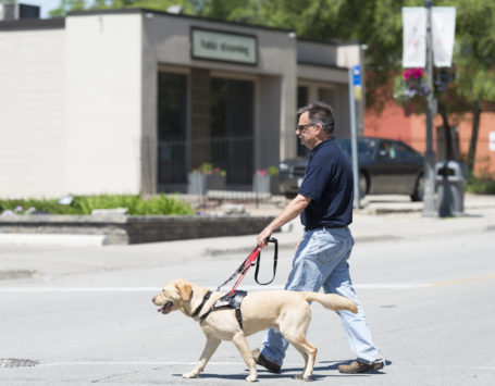 man who is blind walks with Guide Dog