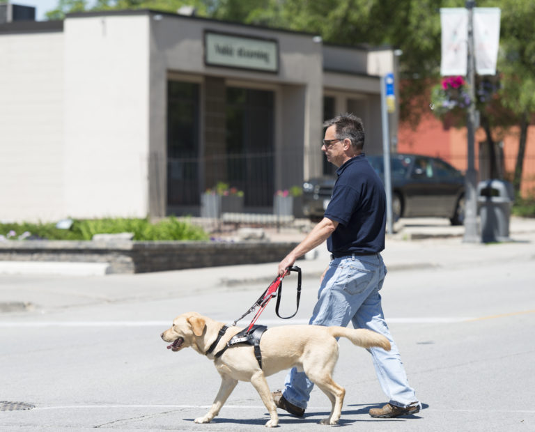 man who is blind walks with Guide Dog