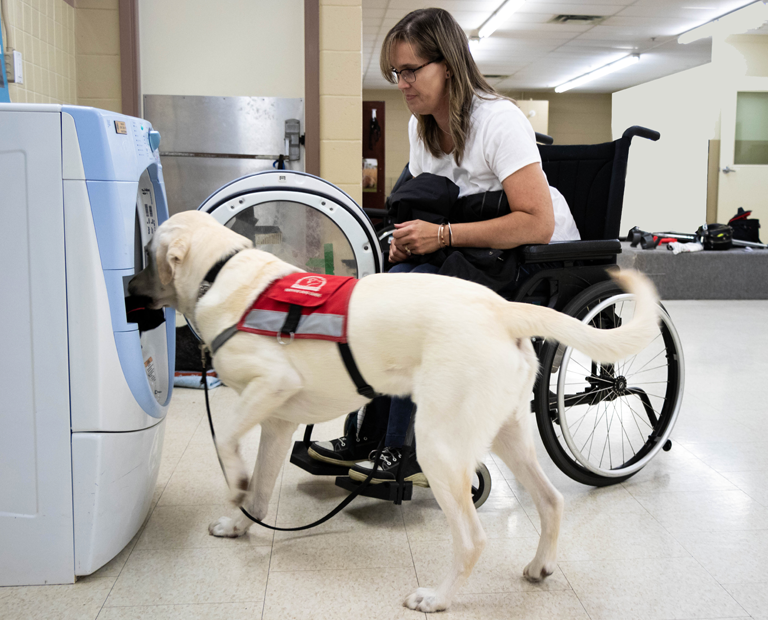 Service Dog Guide with Female Client in Wheelchair