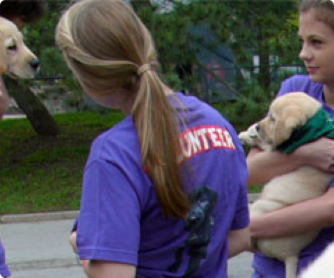 Volunteers with puppy