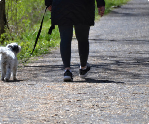 Person walking with dog