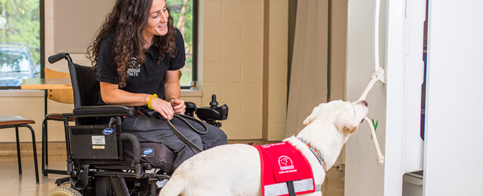 Instructor training a Service Dog Guide