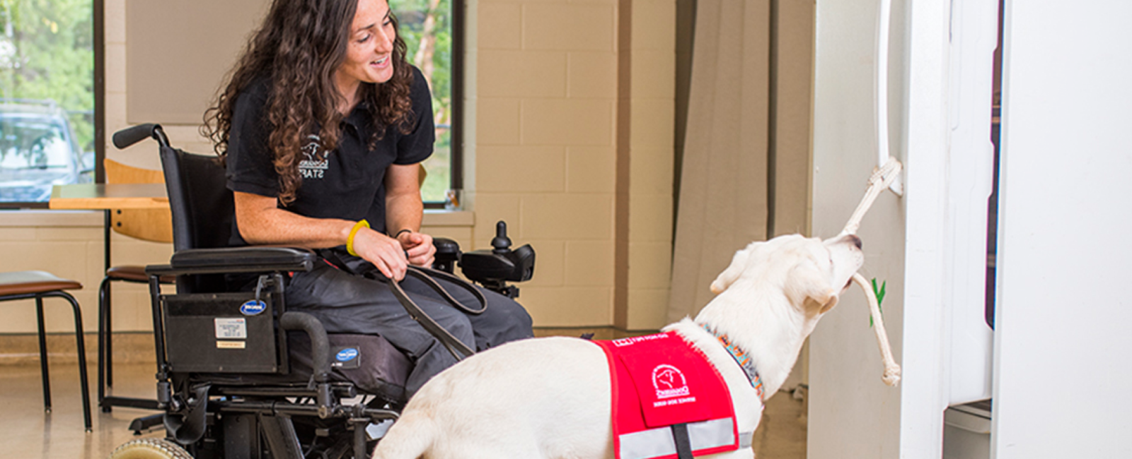 Instructeur formant un chien-guide d'assistance