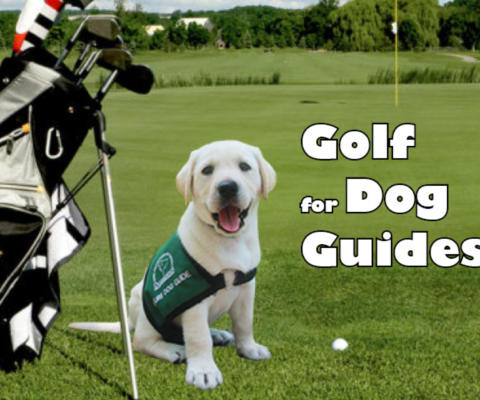 Golf for Dog Guides