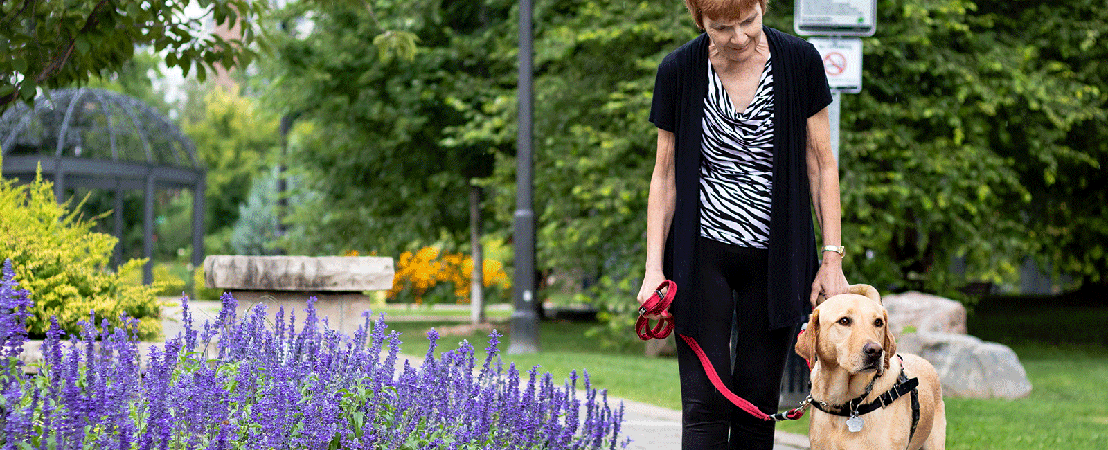 Female client walking with her Canine  Vision Dog Guide