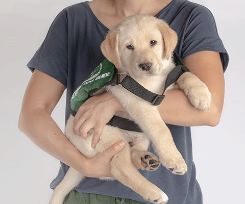 Man holding a future Dog Guide puppy