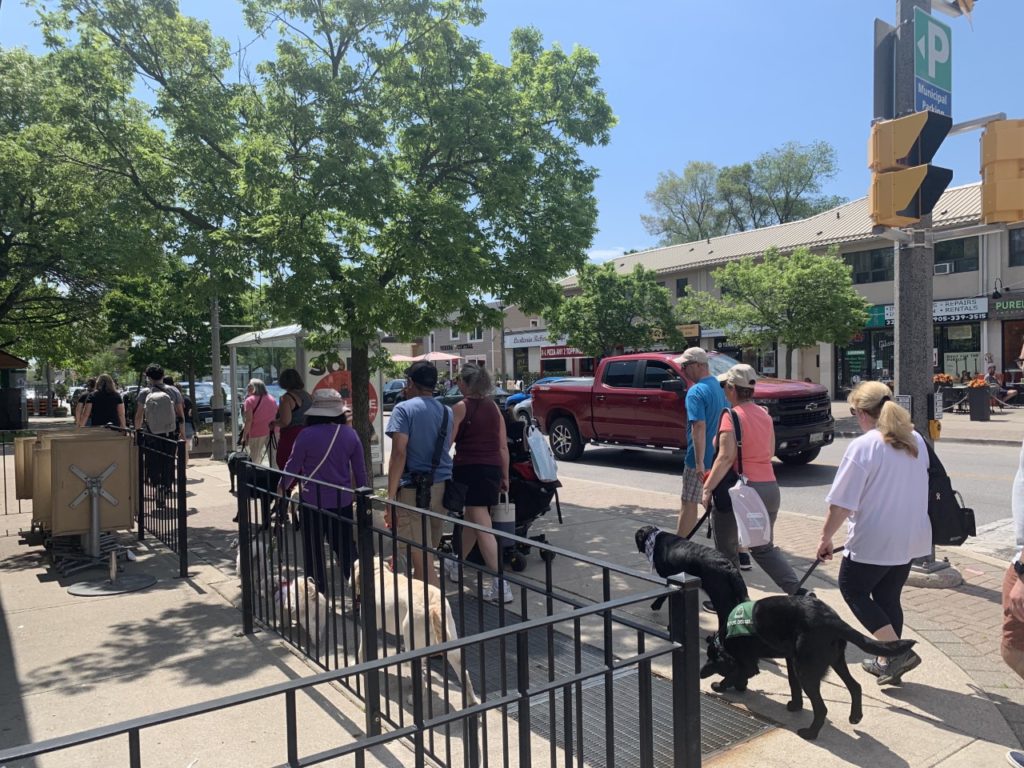 Pet Valu Walk for Dog Guides participants