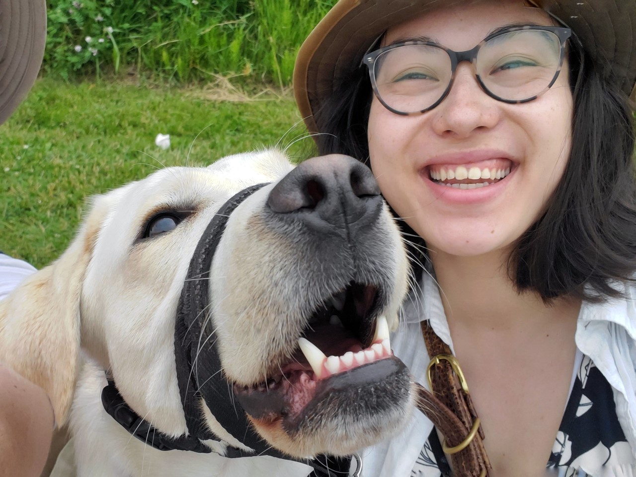 Vesper has made every single day of my life easier since we met. She catches my lows earlier than my technology does, and in doing so saves me from days of rollercoaster blood sugars. She makes exploring the world more fun and less worrisome.