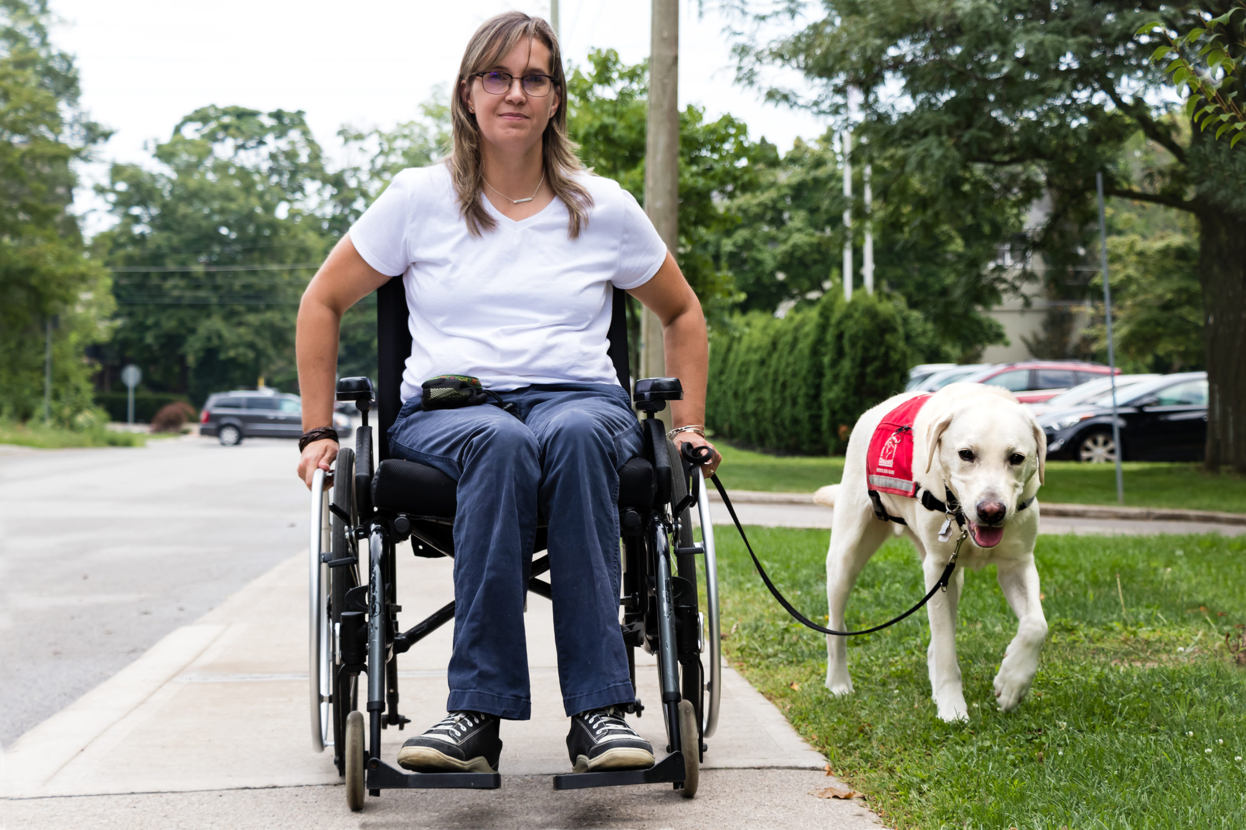 Do Service Dogs Need To Wear A Vest In Canada