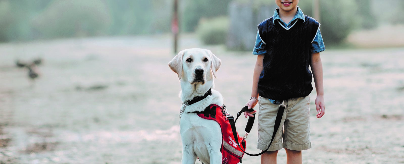 Young boy with his Autism Assistance Dog Guide