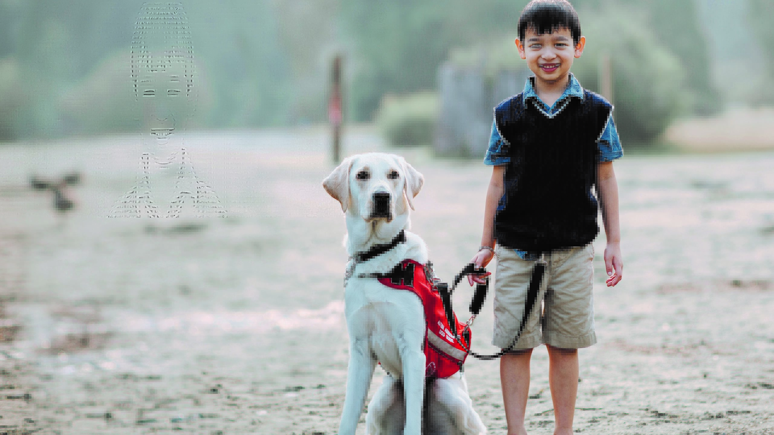Oliver and Herc -AAD 2017 long Young boy with his Autism Assistance Dog Guide
