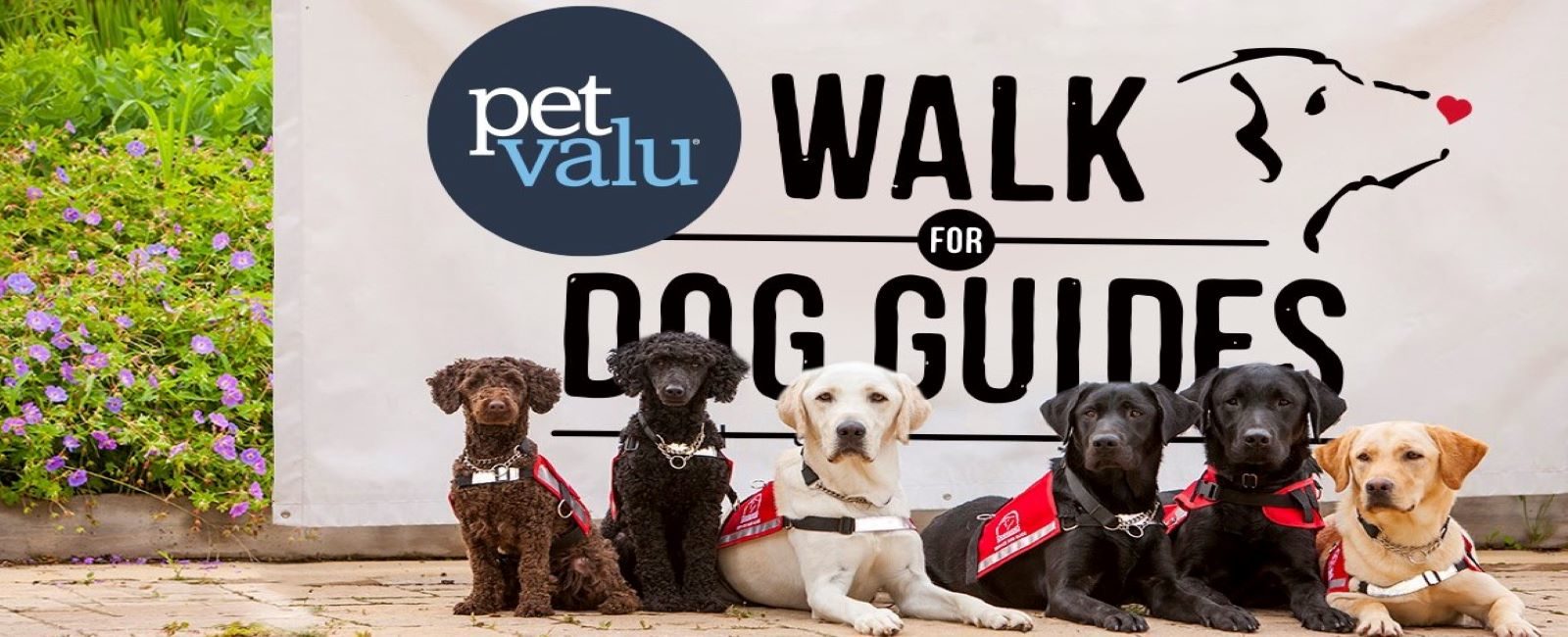 Dog Guides in front Pet Valu walk banner