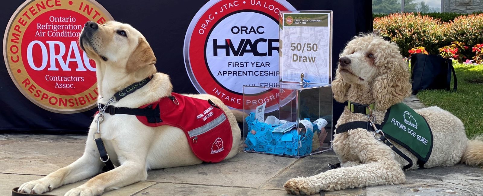 Dog Guide at charity golf tournament