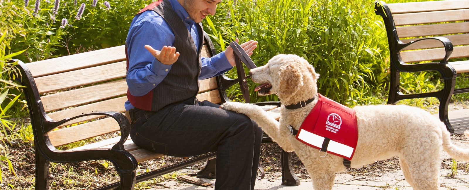 A Male client sits on a bench with his Hearing Dog Guide alerting him