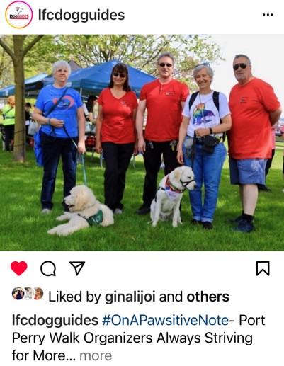 social media Instagram post- shows Port Perry Walk organizers group