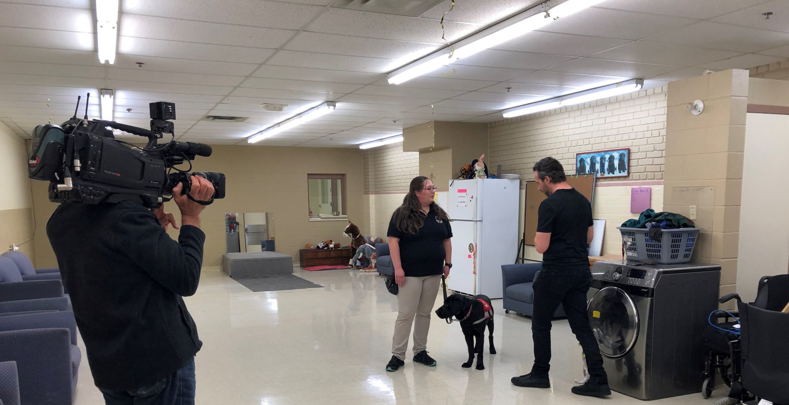 training ground cropped resized News reporter with a Dog Guide instructor