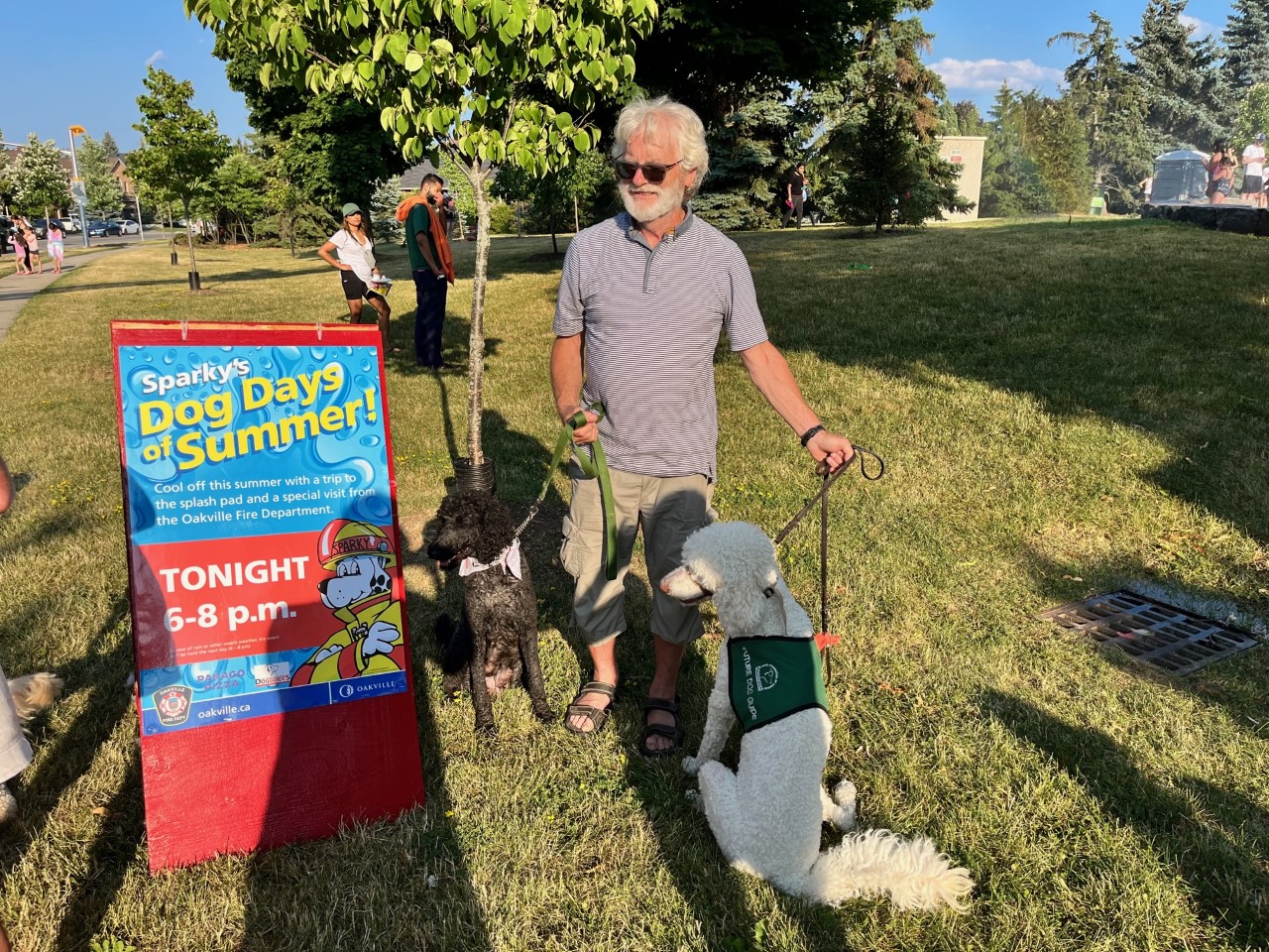 thumbnail_IMG_0570 Volunteer at event with future Dog Guides