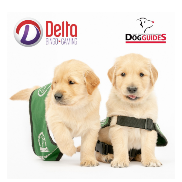 puppies sit next to delta bingo logo