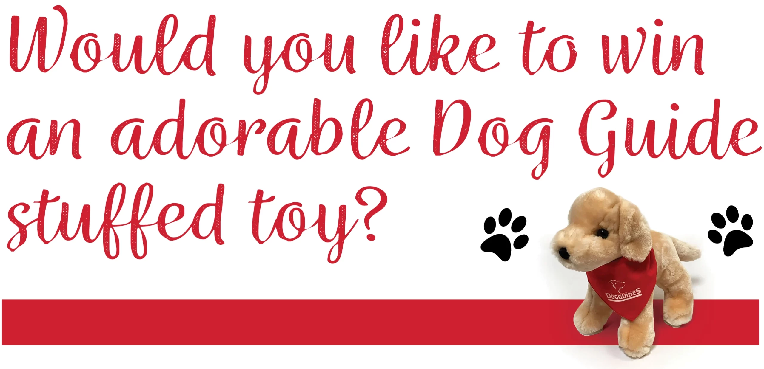 Would you like to win an adorable Dog Guide stuffed toy?