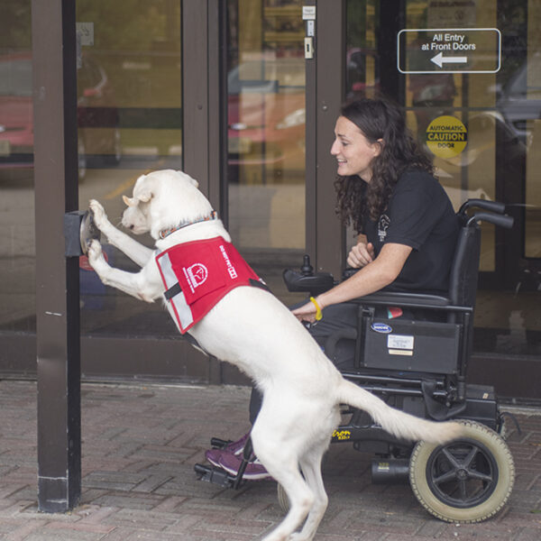 dog learning to push a button to open doors