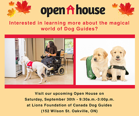 Open House