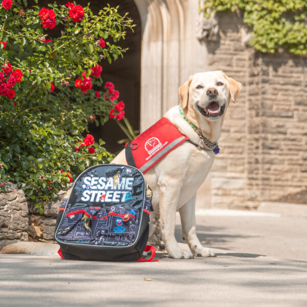 Dog Guides Scholarship Lions Foundation of Canada Dog Guides