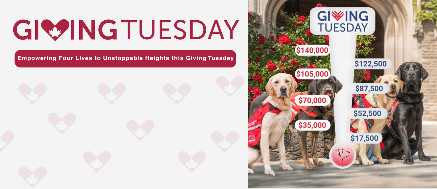four dogs sit next to fundraising thermometer