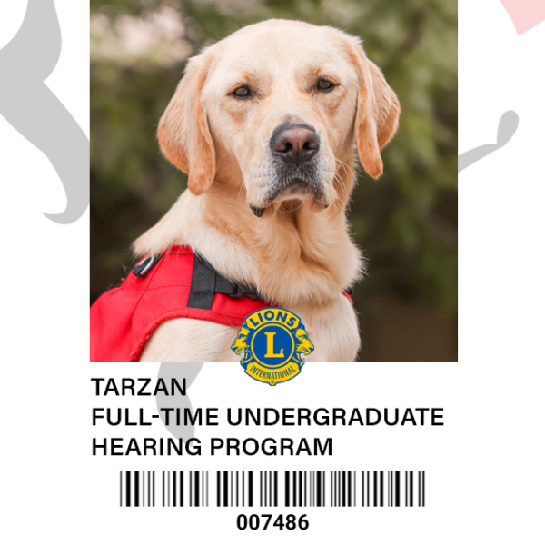student id of a dog guide