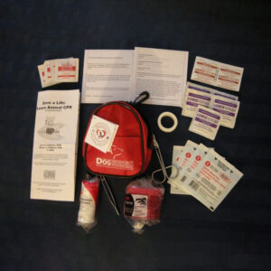 First Aid Kit - Mini/Travel