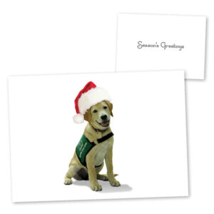 Season's Greeting Cards
