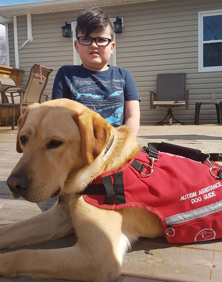 Cohen-Kito-768x973 Service Dog Guide with Female Client in Wheelchair