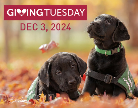 Giving-Tuesday-home