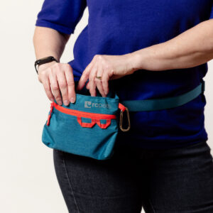 Quick Grab Treat Bag (clients only) Teal