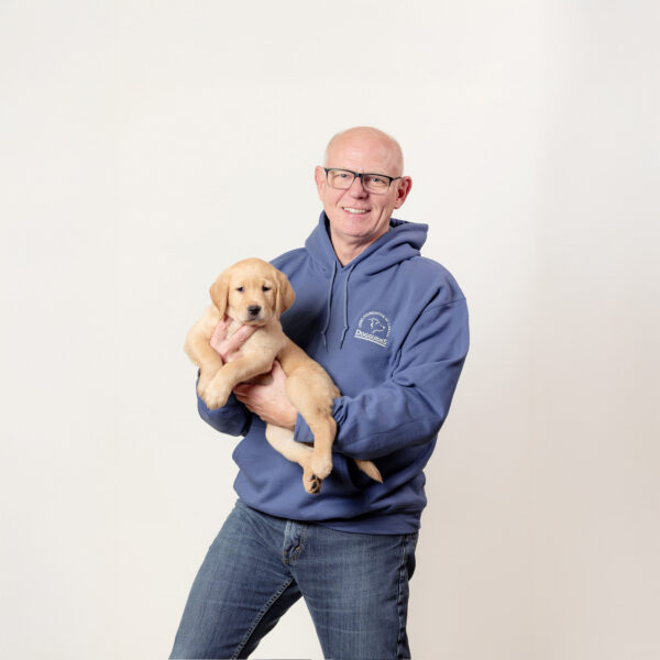Indigo Blue Hoodie - Image 2
