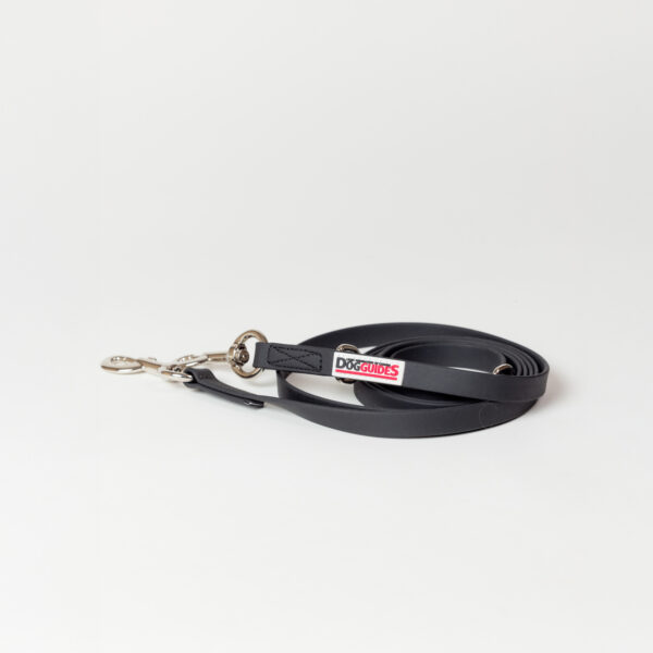 LFCDG Dog Leash