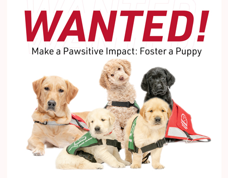 wanted-fosters