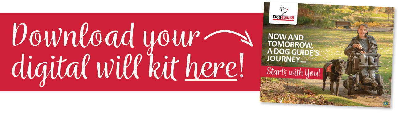 Download your will kit here!