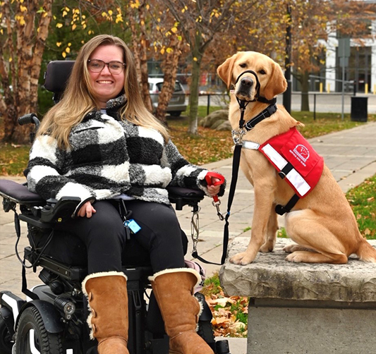 person in wheelchair with yellow labrador in red vest