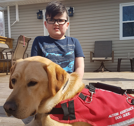 boy with yellow labrador wearing a red vest