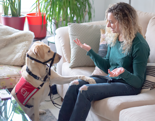 Person sitting on couch with a yellow labrador