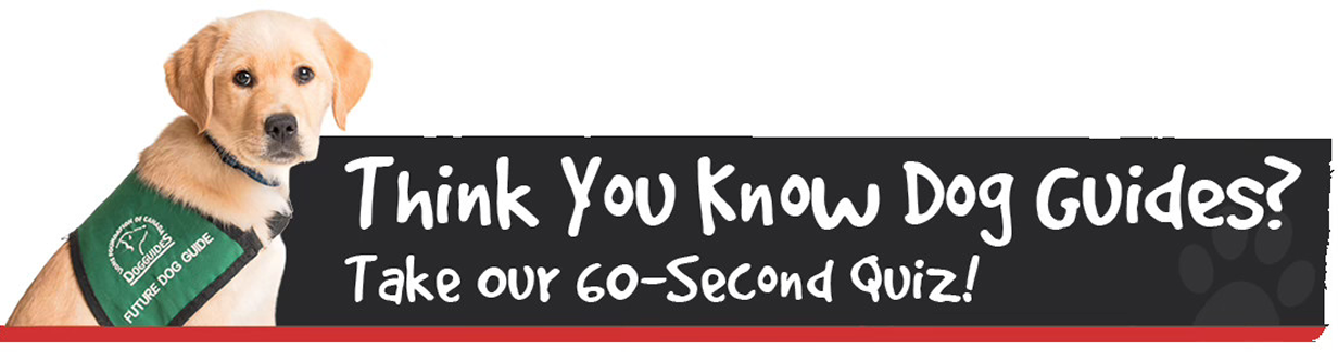 Think you know Dog Guides? Take our 60-second quiz!
